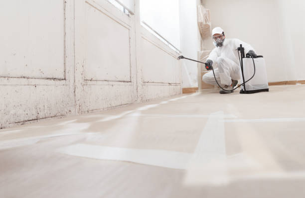 24/7 Emergency Attic Mold Removal experts in Salem, MA